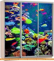 Шкаф-купе Иволанд Трейд K311-3 (дуб молочный) картинка