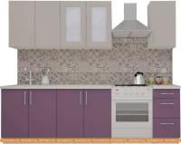 Кухня ВерсоМебель ВерсоЛайн 1-1.9 (кашемир/виола) картинка