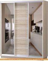 Шкаф-купе Vivat Mebel D3-03 220x60 (дуб сонома) картинка