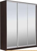 Шкаф-купе Рэйгрупп 203 VVX Elgon РГ-02.04 (венге/хром) картинка