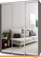 Шкаф-купе Modern Роланд 1700 (600) (зеркало/анкор темный) картинка