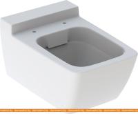 Унитаз Geberit Xeno2 Rimfree 500.500.01.1 картинка