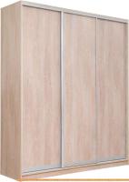 Шкаф-купе Рэйгрупп 203 TTX Elgon РГ-02.03 (дуб торонто/хром) картинка