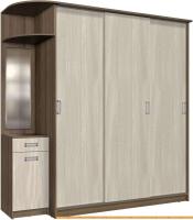 Шкаф-купе Интерлиния Андора АН18.00.04 (ясень шимо светлый/ясень шимо темный) картинка