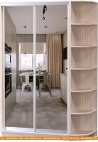 Шкаф-купе Vivat Mebel D2-06 220x60 (ясень шимо светлый) картинка