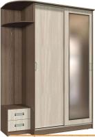 Шкаф-купе Интерлиния Андора АН12.01.03 (ясень шимо светлый/ясень шимо темный) картинка