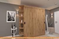 Шкаф-купе ЭлиГард Лагуна ШЛ-08.Л.0 (дуб натуральный) картинка