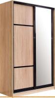Шкаф-купе Евва 14 SSG.02 АЭП ШК.2 02 (сонома /венге глянец) картинка