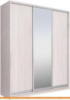 Шкаф-купе Рэйгрупп 233450 YYX Elgon РГ-01.02 (ясень снежный/хром) картинка