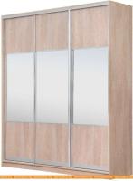 Шкаф-купе Рэйгрупп 203450 TTX Elgon РГ-02.01 (дуб торонто/хром) картинка