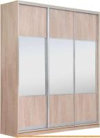 Шкаф-купе Рэйгрупп 203 TTX Elgon РГ-08.01 (дуб торонто/хром) картинка