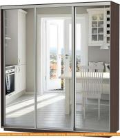 Шкаф-купе Vivat Mebel D3-04 220x60 (черное дерево) картинка