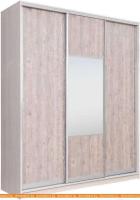 Шкаф-купе Рэйгрупп 233450 YSX Elgon РГ-07.05 (ясень снежный/сосна натуральная/хром) картинка