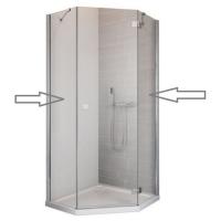 Комплект неподвижных стенок S Radaway Essenza New PTJ 100x100x200 [385051-01-01] картинка