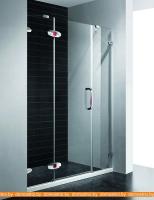 Душевая дверь RGW SA-01 150 см картинка