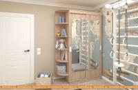 Шкаф-купе ЭлиГард Лагуна ШЛМ-02.Л.2 (дуб сонома) картинка