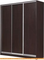 Шкаф-купе Рэйгрупп 203450 VVX Elgon РГ-02.03 (венге/хром) картинка