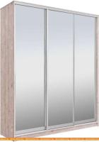 Шкаф-купе Рэйгрупп 233450 SSX Elgon РГ-01.04 (сосна натуральная/хром) картинка