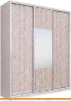 Шкаф-купе Рэйгрупп 176450 YSX Elgon РГ-09.05 (ясень снежный/сосна натуральная/хром) картинка