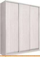 Шкаф-купе Рэйгрупп 203450 YYX Elgon РГ-02.03 (ясень снежный/хром) картинка