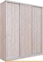 Шкаф-купе Рэйгрупп 203 SSX Elgon РГ-08.03 (сосна натуральная/хром) картинка