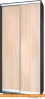 Шкаф-купе Modern Роланд 1000 (600) (дуб млечный/венге) картинка