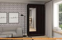 Шкаф-купе ЭлиГард Лагуна ШЛ-01.1 (дуб марбург) картинка