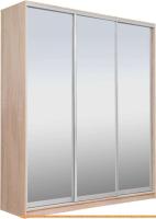 Шкаф-купе Рэйгрупп 203 TTX Elgon РГ-02.04 (дуб торонто/хром) картинка