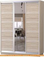 Шкаф-купе Vivat Mebel D3-02 220x60 (дуб сонома) картинка