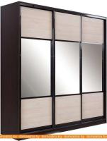 Шкаф-купе Евва 24 VHG.01 АЭП ШК.3 01 (шамони/венге глянец) картинка