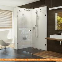 Душевой уголок Ravak Brilliant BSDPS 100x100 левый картинка