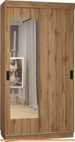 Шкаф-купе ЭлиГард Лагуна ШЛ-01.1 (дуб натуральный) картинка
