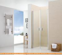 Душевая дверь RGW LE-05 120 см (прозрачное/хром) картинка