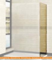 Душевая стенка RGW Z-12 80 см (хром/прозрачное стекло) картинка