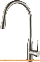 Смеситель Ganzer Rein GZ 16035G (сатин) картинка