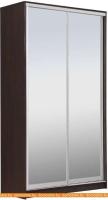 Шкаф-купе Рэйгрупп 120450 VVX Elgon РГ-12.04 (венге/хром) картинка