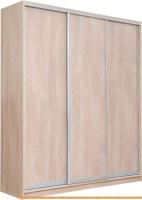 Шкаф-купе Рэйгрупп 203 TTX Elgon РГ-08.03 (дуб торонто/хром) картинка