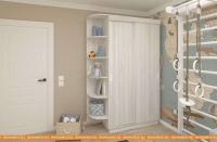 Шкаф-купе ЭлиГард Лагуна ШЛ-02.Л.0 (сосна каньон) картинка