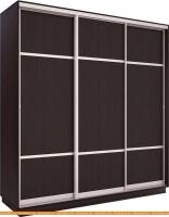 Шкаф-купе Евва 203 VS.03 АЭП ШК.3.02 (венге/серебро) картинка