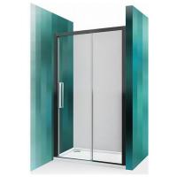 Душевая дверь Roltechnik Exclusive Line ECD2P/1200 120x205 картинка