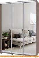 Шкаф-купе Modern Роланд Р66 + Р36 (шимо темный) картинка