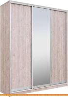 Шкаф-купе Рэйгрупп 233450 SSX Elgon РГ-01.02 (сосна натуральная/хром) картинка