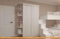 Шкаф-купе ЭлиГард Лагуна ШЛ-04.Л.0 (сосна каньон) картинка