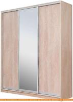 Шкаф-купе Рэйгрупп 176450 TTX Elgon РГ-03.02 (дуб торонто/хром) картинка