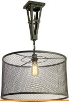 Подвесная люстра Lussole Loft Parker GRLSP-9885 картинка