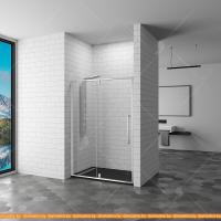 Душевая дверь RGW SV-03 100 картинка