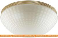 Светильник тарелка Odeon Light Malaga 4936/3C картинка