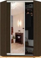 Шкаф-купе Кортекс-мебель Сенатор ШК30 Классика ДСП с зеркалом (венге темный) картинка