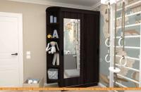 Шкаф-купе ЭлиГард Лагуна ШЛ-02.Л.1 (дуб марбург) картинка