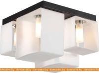 Потолочная люстра ST Luce Concreto SL536.502.04 картинка